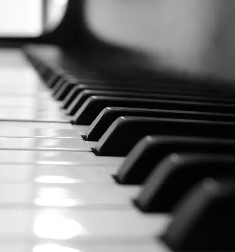 piano removals and piano moving service