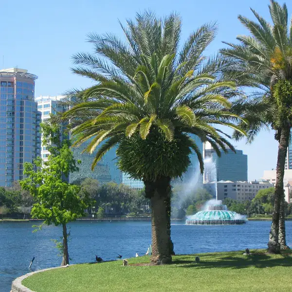 a view on Orlando FL